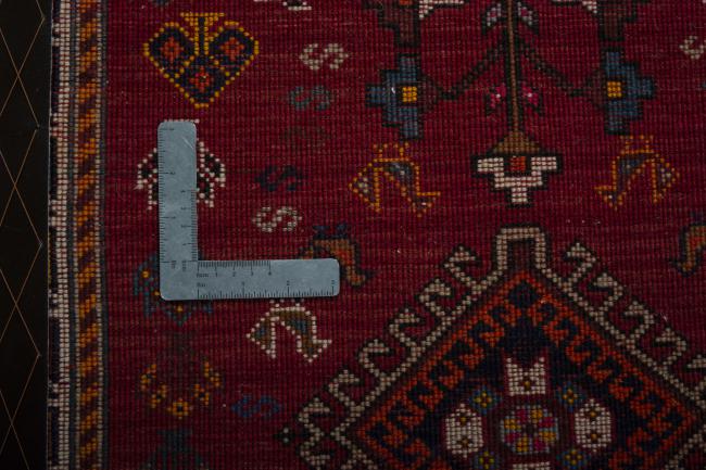 Shiraz - 8