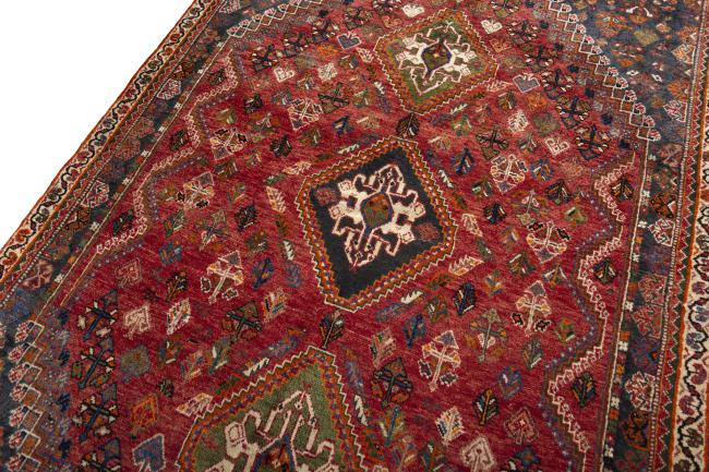 Shiraz - 4