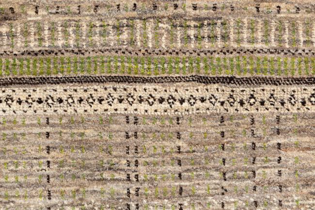 Perser Gabbeh Loribaft Natura - 7