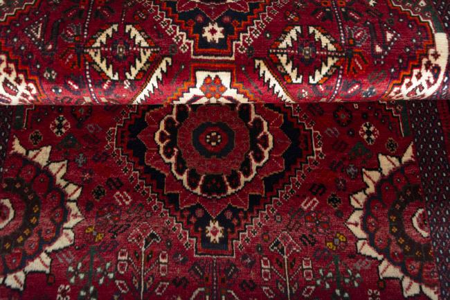 Shiraz - 8