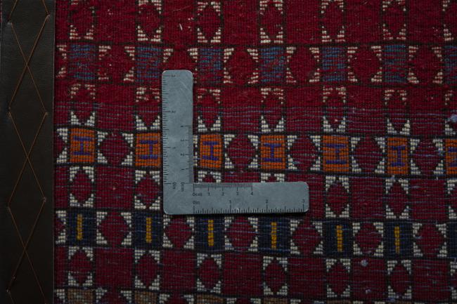 Shiraz - 4