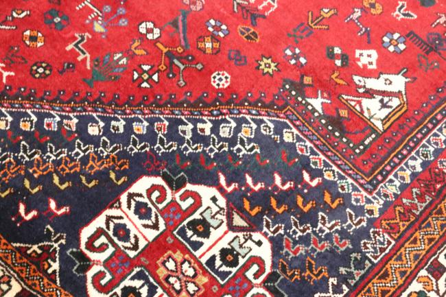 Shiraz - 4