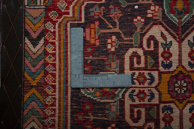Shiraz - 4