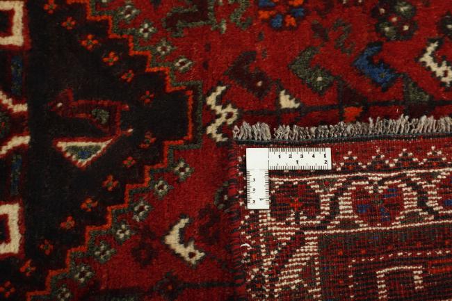 Shiraz - 1
