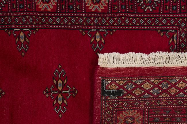 Pakistan Buchara 2ply - 1