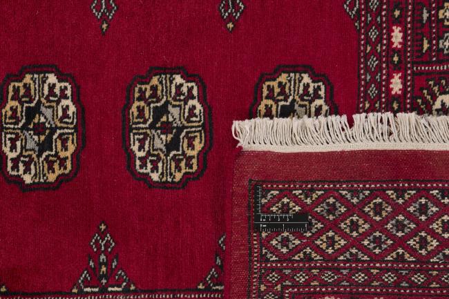 Pakistan Buchara 2ply - 1