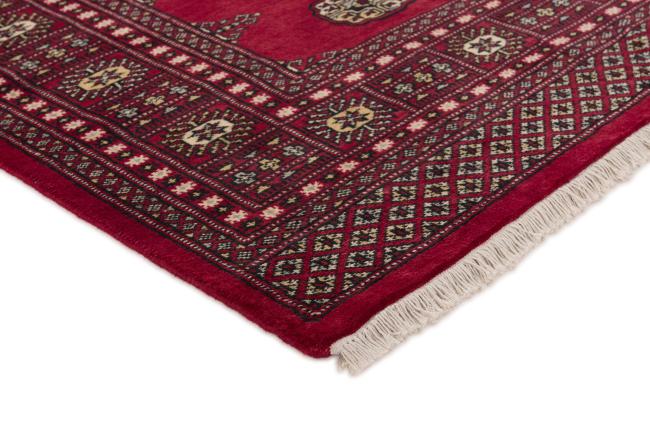 Pakistan Buchara 2ply - 3