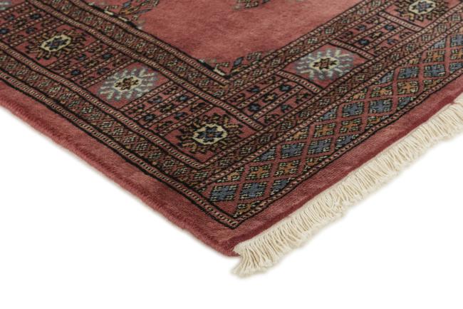 Pakistan Buchara 3ply - 3