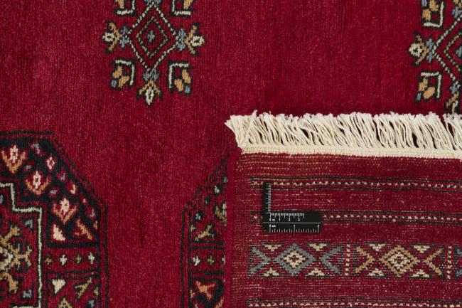 Pakistan Buchara 3ply - 1