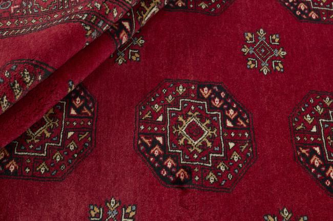 Pakistan Buchara 3ply - 2