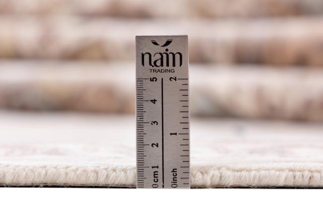 Indo Tabriz Gumbad - 9