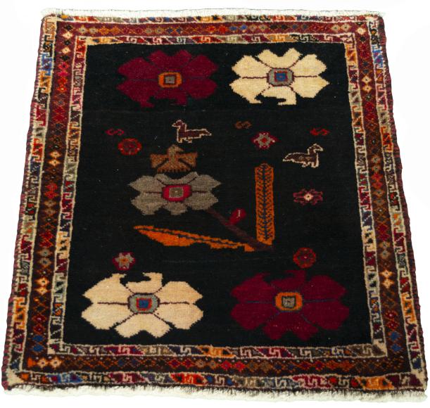 Shiraz - 3
