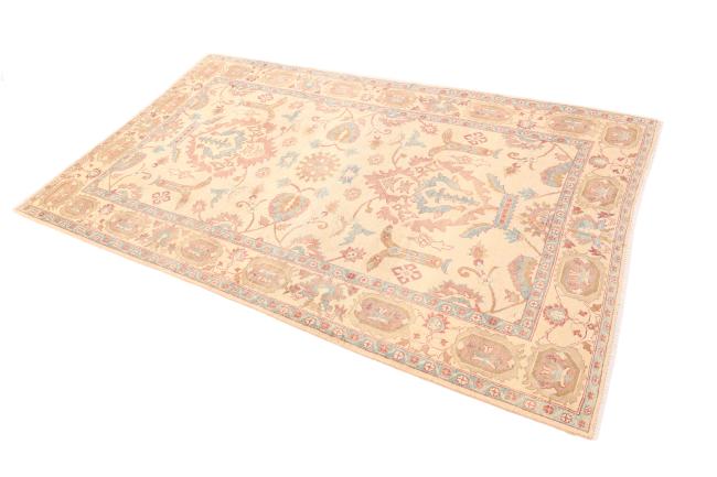 Ziegler Farahan - 2