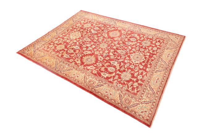 Ziegler Farahan - 2