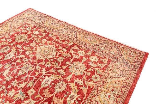 Ziegler Farahan - 3