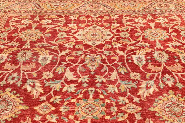 Ziegler Farahan - 7