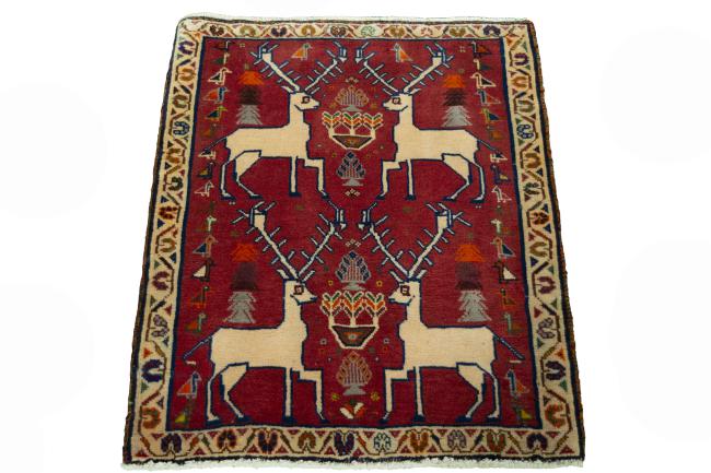Shiraz - 3