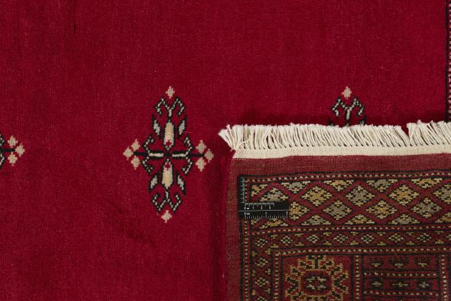 Pakistan Buchara 2ply - 1