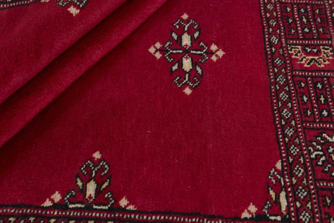 Pakistan Buchara 2ply - 2
