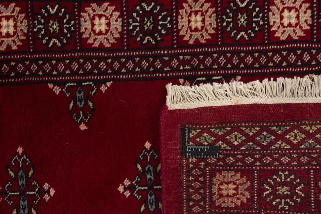 Pakistan Buchara 2ply - 1