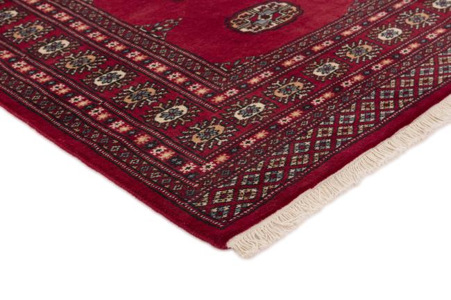 Pakistan Buchara 2ply - 3