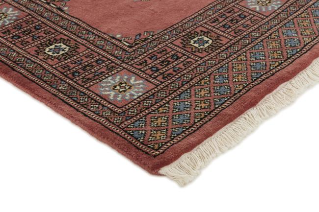 Pakistan Buchara 3ply - 3