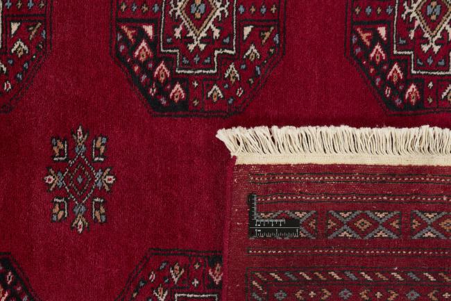 Pakistan Buchara 3ply - 1