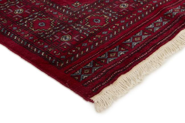 Pakistan Buchara 3ply - 3