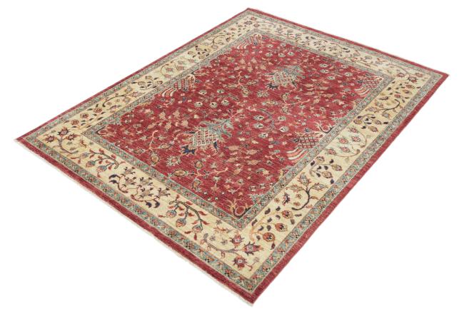 Ziegler Farahan - 2