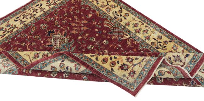 Ziegler Farahan - 5