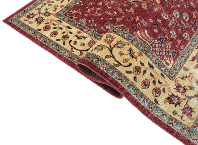 Ziegler Farahan - 6