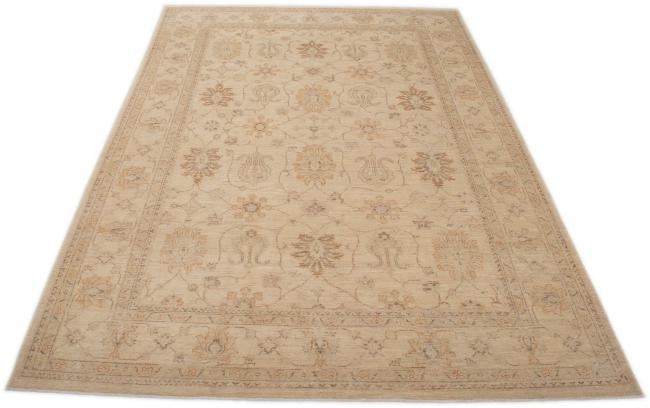 Ziegler Farahan - 3