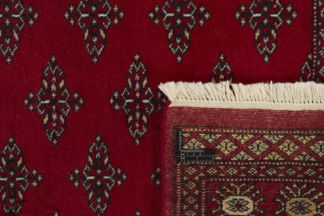 Pakistan Buchara 2ply - 1