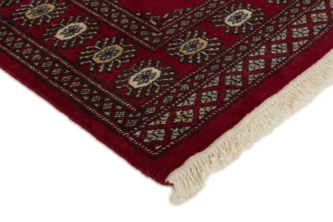 Pakistan Buchara 2ply - 3
