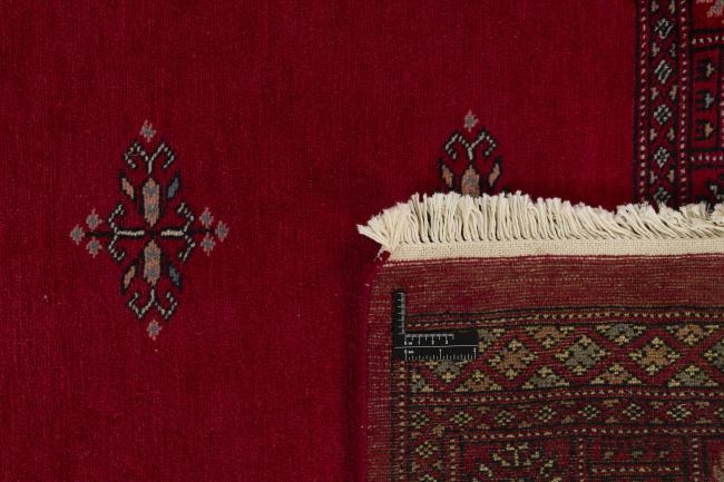 Pakistan Buchara 2ply - 1