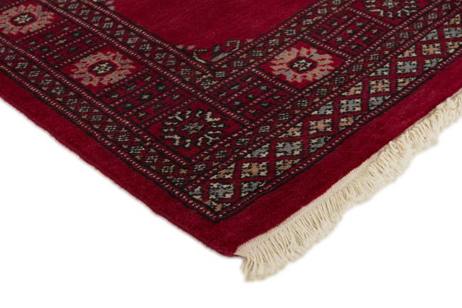 Pakistan Buchara 2ply - 3