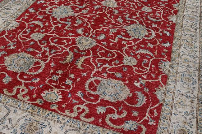 Ziegler Farahan - 2