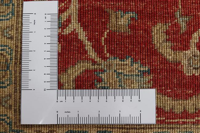 Ziegler Farahan - 4