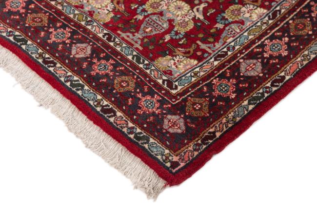 Bidjar Old - 4