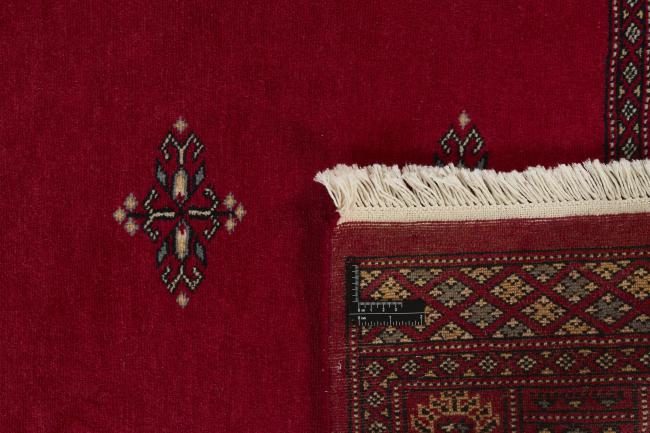 Pakistan Buchara 2ply - 1