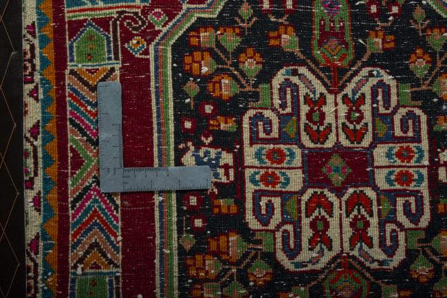 Shiraz - 4
