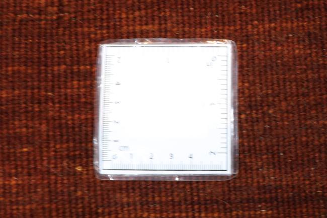 Persa Gabbeh Loribaft - 5