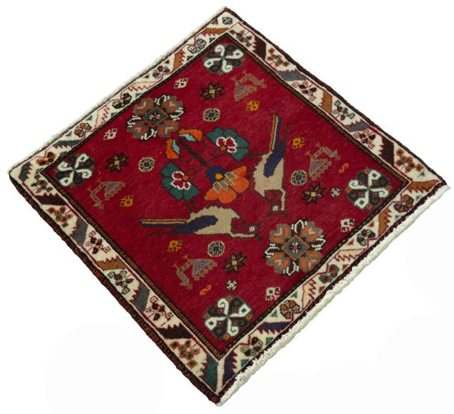 Shiraz - 2