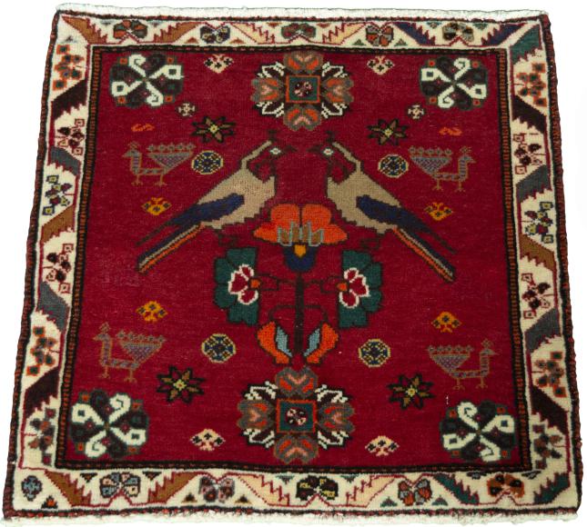 Shiraz - 3