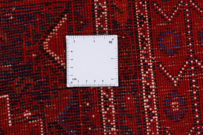 Shiraz - 11