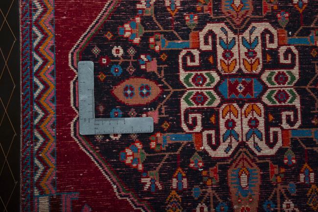 Shiraz - 4