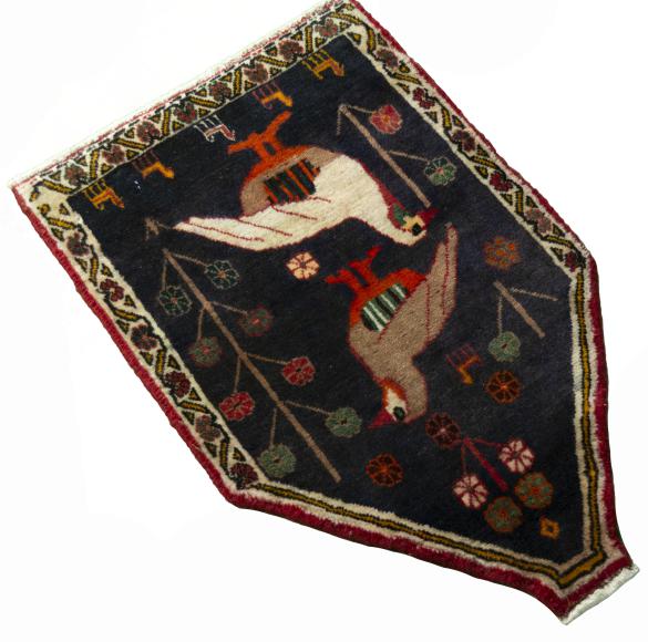Shiraz - 2