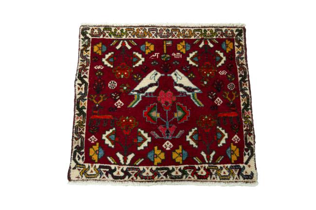 Shiraz - 3