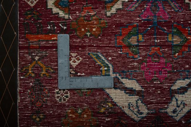 Shiraz - 4
