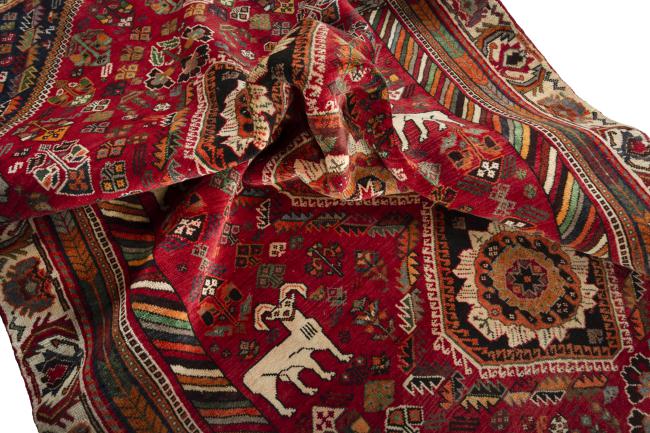 Shiraz - 8